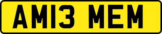 AM13MEM