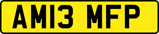 AM13MFP