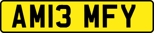 AM13MFY