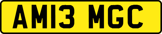 AM13MGC