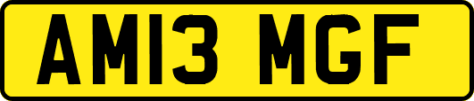 AM13MGF