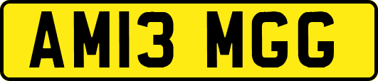 AM13MGG
