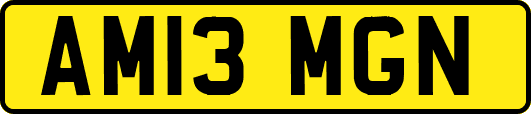 AM13MGN