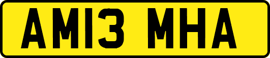 AM13MHA