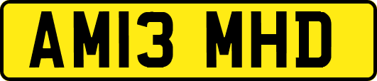 AM13MHD