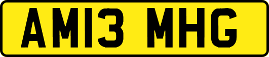 AM13MHG