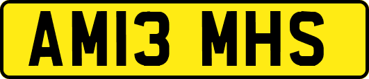 AM13MHS