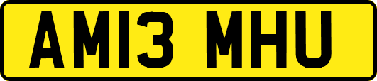 AM13MHU
