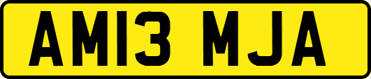AM13MJA