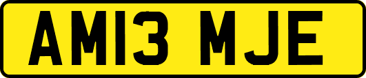 AM13MJE