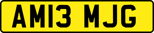 AM13MJG