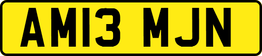 AM13MJN