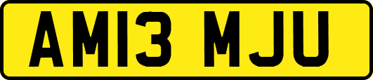 AM13MJU