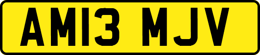 AM13MJV