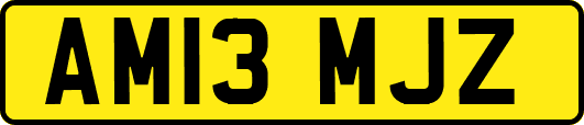 AM13MJZ