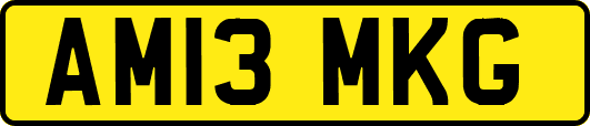 AM13MKG
