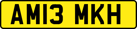 AM13MKH