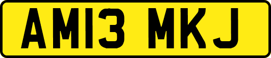 AM13MKJ