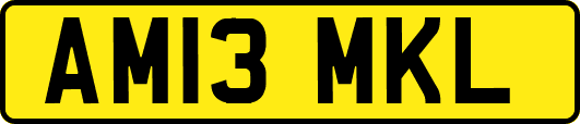 AM13MKL