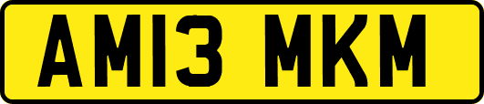 AM13MKM