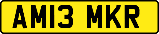 AM13MKR
