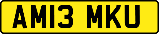 AM13MKU
