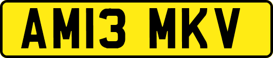 AM13MKV