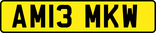 AM13MKW