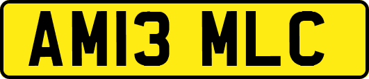 AM13MLC