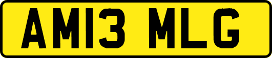 AM13MLG
