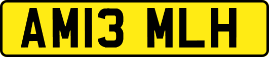AM13MLH