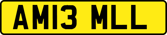 AM13MLL