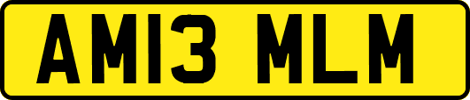AM13MLM