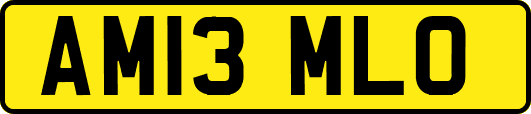 AM13MLO
