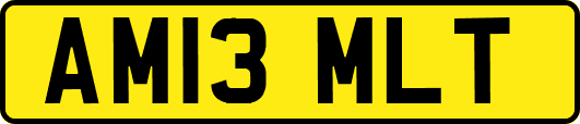 AM13MLT