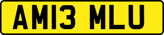 AM13MLU