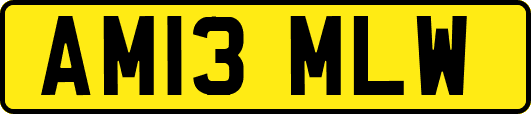 AM13MLW