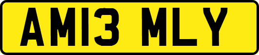 AM13MLY