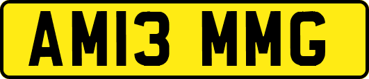 AM13MMG