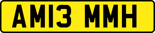 AM13MMH
