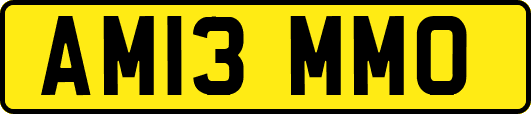 AM13MMO