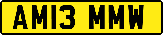 AM13MMW