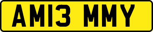 AM13MMY