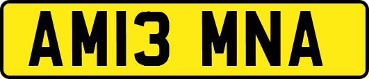 AM13MNA
