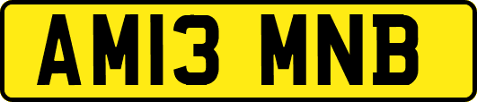 AM13MNB