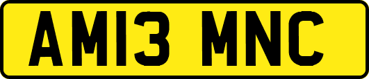AM13MNC