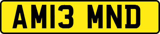 AM13MND