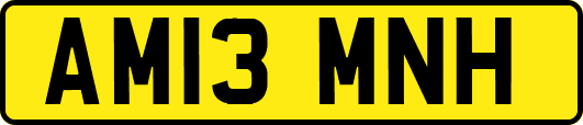 AM13MNH