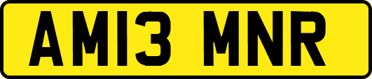 AM13MNR