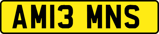 AM13MNS
